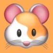 WWW,seseou·COM网站APPAPP应用